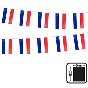 GUIRLANDE FRANCE PLASTIQUE RECTANGLE - 10 METRES