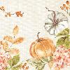Serviettes Dunisoft Spicy Pumpkin 40 x 40 Cm - Paquet de 60